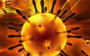 WHO tuyên bố tình trạng khẩn cấp toàn cầu với bệnh viêm đường hô hấp cấp do virus corona