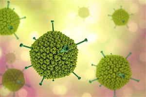 Adenovirus có thể gây ra những bệnh gì, mắc rồi có mắc lại không?